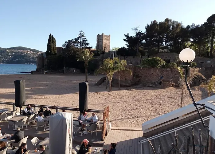 Studio Mandelieu-La-Napoule * Mandelieu